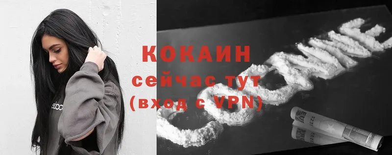 COCAIN Эквадор  ОМГ ОМГ ссылка  Зея  купить наркотики сайты 