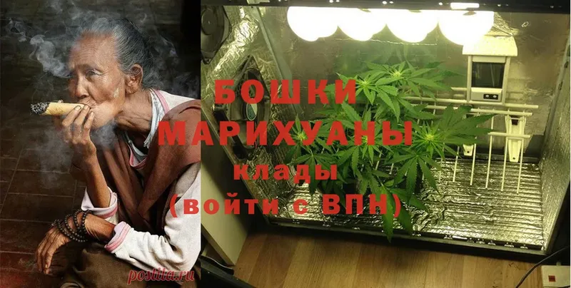 Конопля OG Kush  Зея 